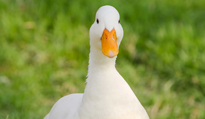 1722387184184.png