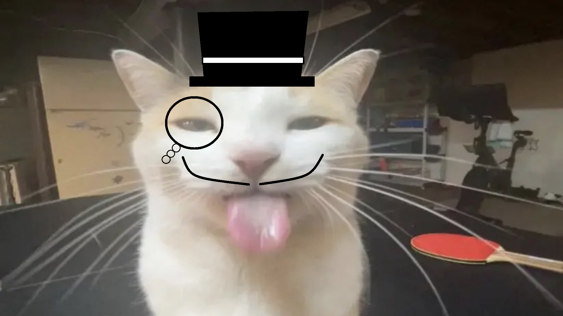 cat with tongue and hat!.png