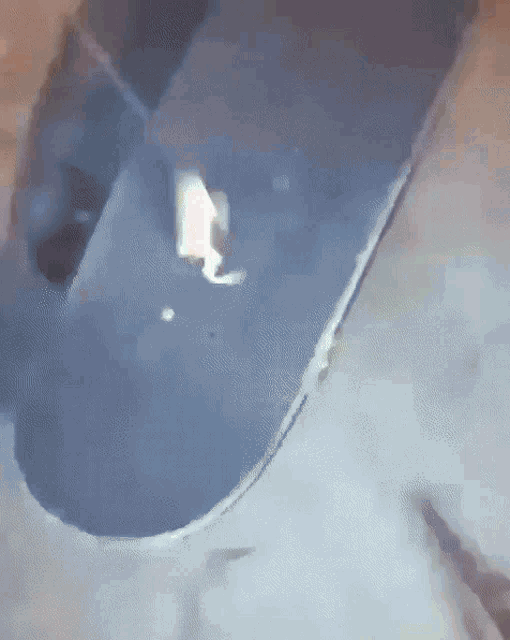 FROG KICKFLIP.gif