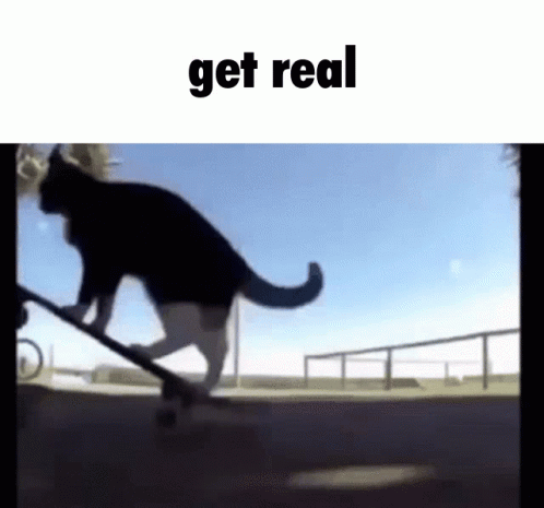 get real.gif