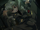 anchovy.jpg