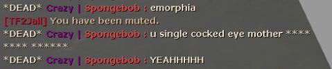 T7.PNG