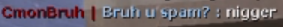 Bruh u spam Racial Slur..PNG