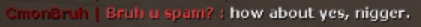 Bruh u spam Racial Slur 2.PNG