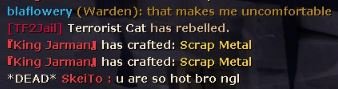 skeito2.JPG