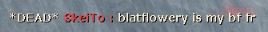 skeito3.JPG