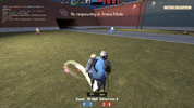 wasp 3.png