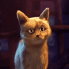 968DEC4B-F07E-4179-8719-C3295CA89EA6.gif
