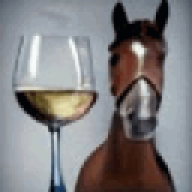 The horse
