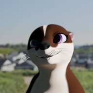 cocoa