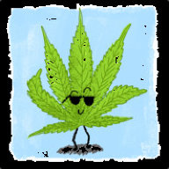 WeedPatrol