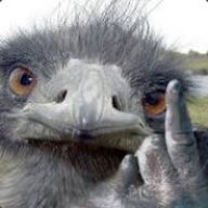 HarshEmu