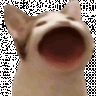 tomgamer