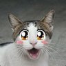 Cat_king100