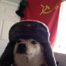 Soviet Ruski Dog
