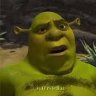 DetectiveShrek