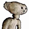 BEAR*