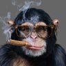 Monke Mann