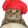 the_baker