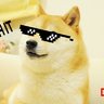 The Great Doge