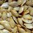 Seed Genus