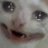 ItsCat