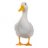 Duck420