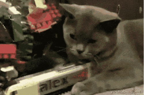 cOo3aeD9Jzxh6.gif