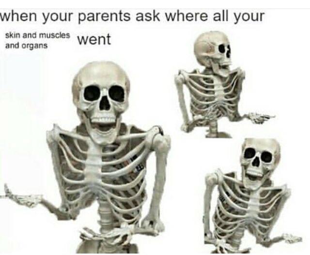 cjxrt48yuwpz.jpg
