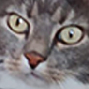 steamcommunity.com
