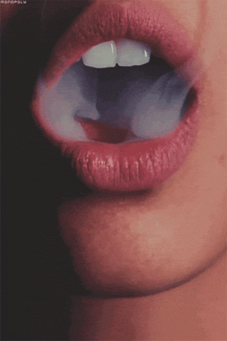 giphy.gif